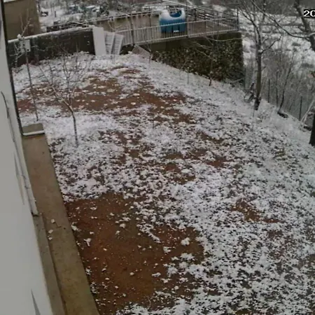 Villa Curri *